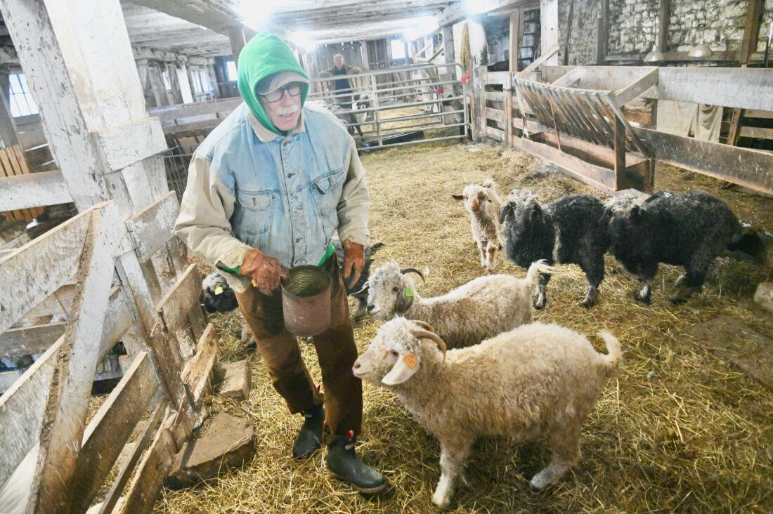 Close-knit flock: Underhill Farm's unique sheep yield high-quality